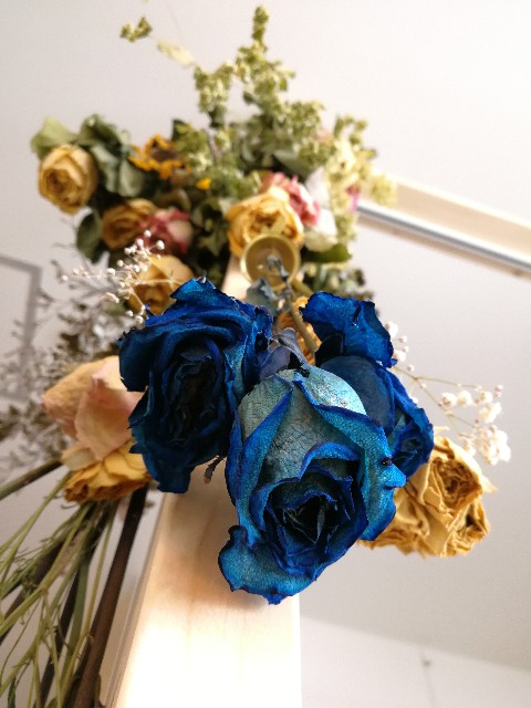 f:id:ichapy:20190703110623j:image f:id:ichapy:20190703110623j:image