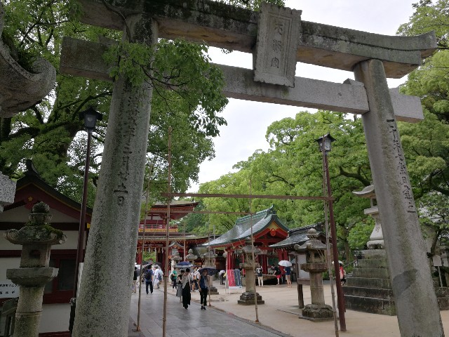 f:id:ichapy:20190723134716j:image