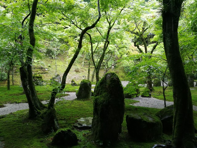 f:id:ichapy:20190723134854j:image