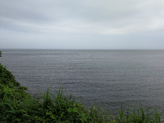 f:id:ichapy:20190727132430j:image f:id:ichapy:20190727132430j:image