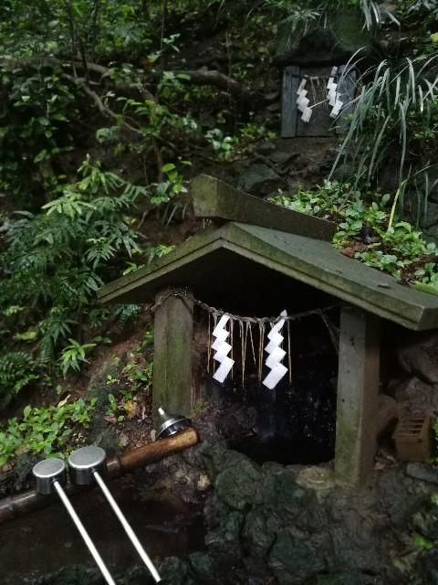 f:id:ichapy:20190727132629j:image f:id:ichapy:20190727132629j:image