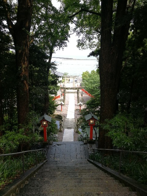 f:id:ichapy:20190727132752j:image f:id:ichapy:20190727132752j:image