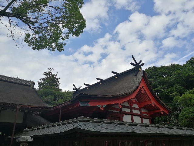 f:id:ichapy:20190727132911j:image f:id:ichapy:20190727132911j:image