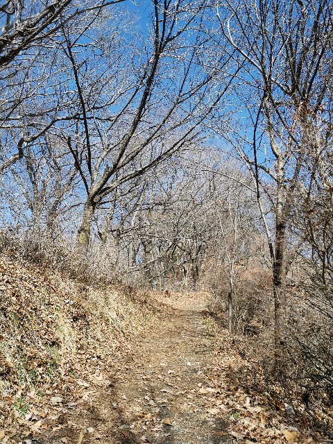 f:id:ichapy:20220325135119j:image