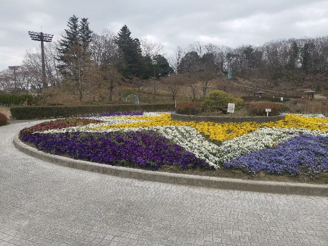 f:id:ichapy:20220328112943j:image