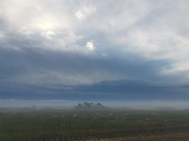 f:id:ichapy:20220328113422j:image