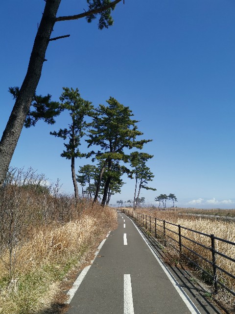 f:id:ichapy:20220328113524j:image