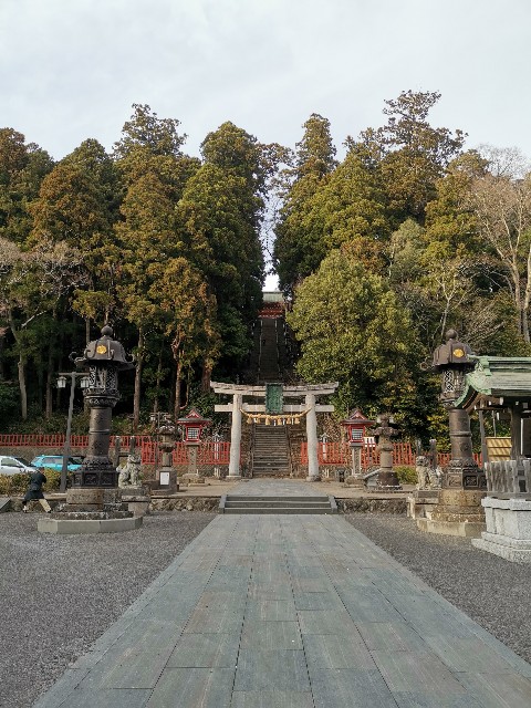 f:id:ichapy:20220328113947j:image