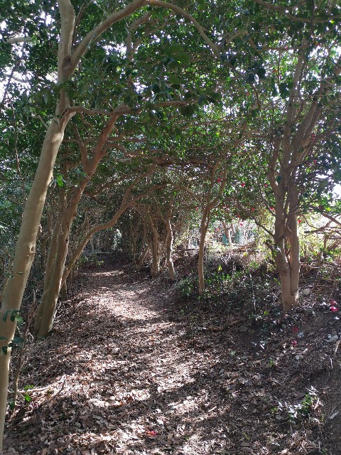 f:id:ichapy:20220402135338j:image