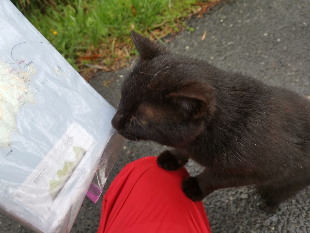 f:id:ichapy:20220402140340j:image