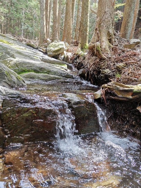 f:id:ichapy:20220402141309j:image