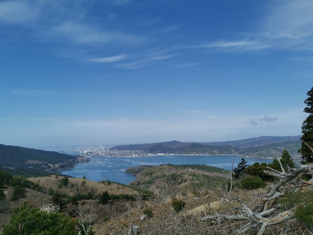 f:id:ichapy:20220402141909j:image