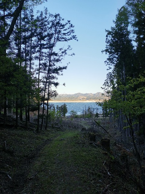 f:id:ichapy:20220404112924j:image