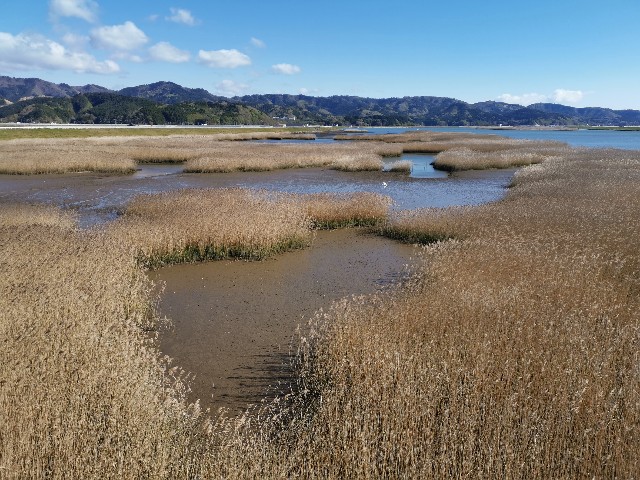 f:id:ichapy:20220404113131j:image