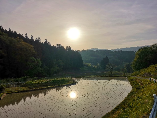 f:id:ichapy:20220406132905j:image