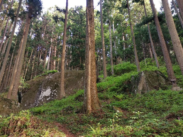 f:id:ichapy:20220406133031j:image