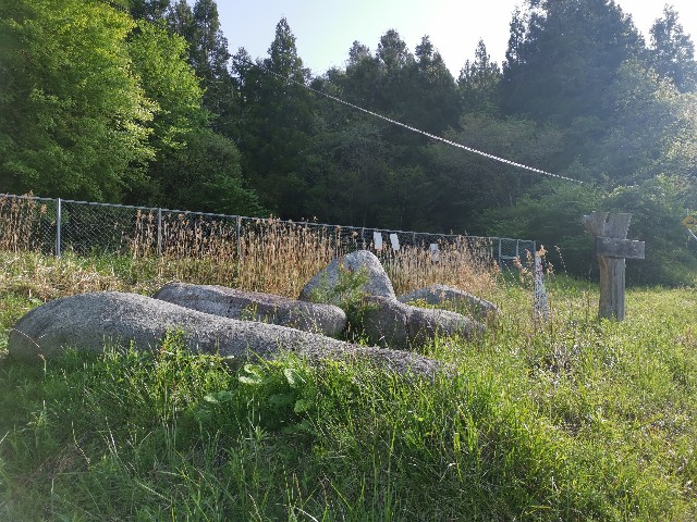 f:id:ichapy:20220406133052j:image