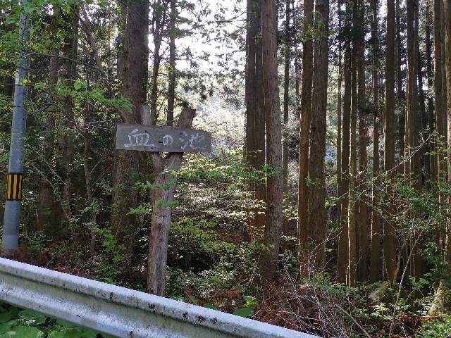 f:id:ichapy:20220406133103j:image