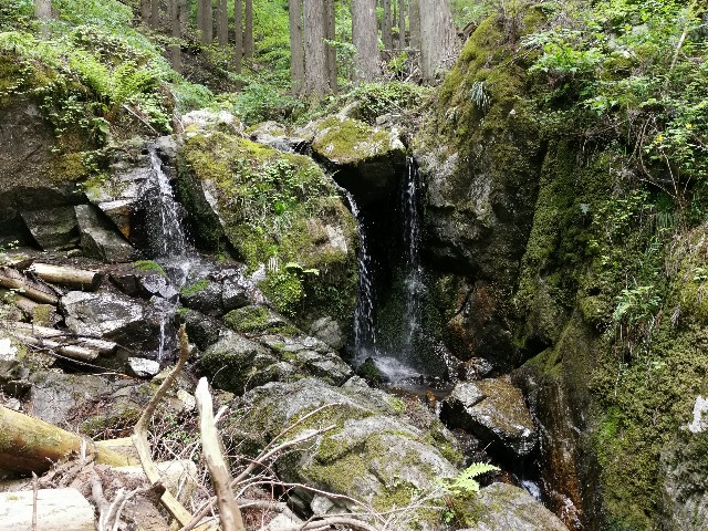 f:id:ichapy:20220406133318j:image