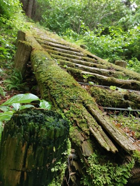 f:id:ichapy:20220406133503j:image