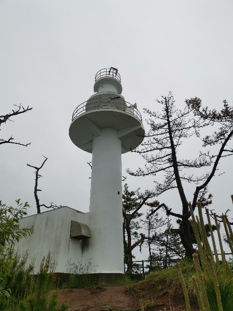 f:id:ichapy:20220410142318j:image