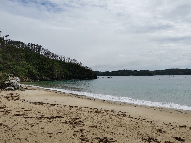 f:id:ichapy:20220410142513j:image