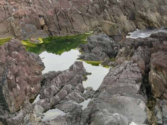 f:id:ichapy:20220410142858j:image