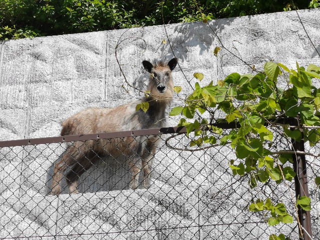 f:id:ichapy:20220410143559j:image