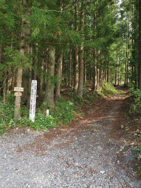 f:id:ichapy:20220410144530j:image