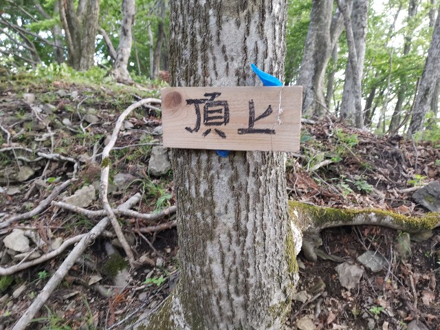 f:id:ichapy:20220410144745j:image