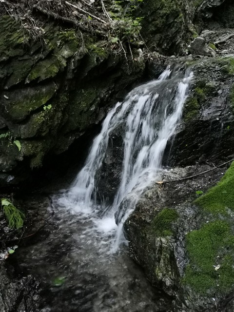 f:id:ichapy:20220410144818j:image