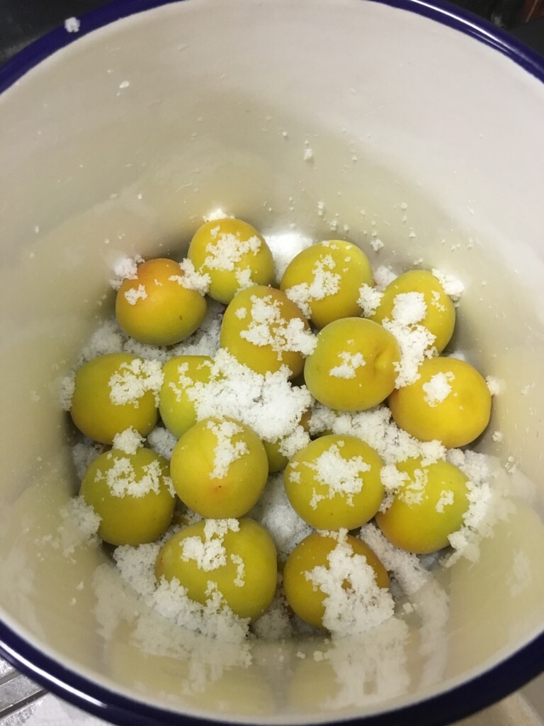 巡る季節【自家製梅酢、梅干し】 うをとおなすと 巡る季節【自家製梅酢、梅干し】 うをとおなすと