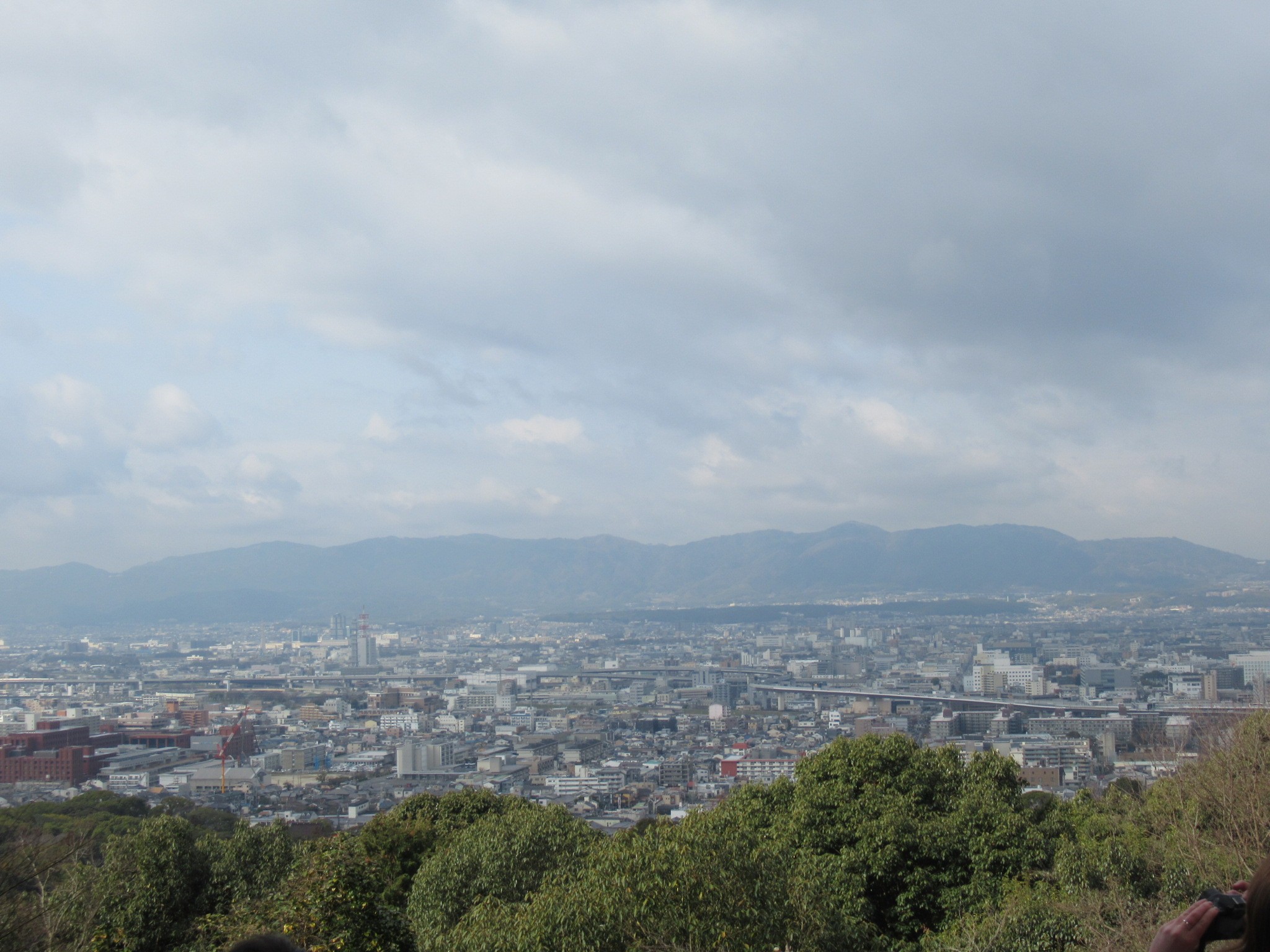 f:id:ichi-hama:20240309084256j:image f:id:ichi-hama:20240309084256j:image