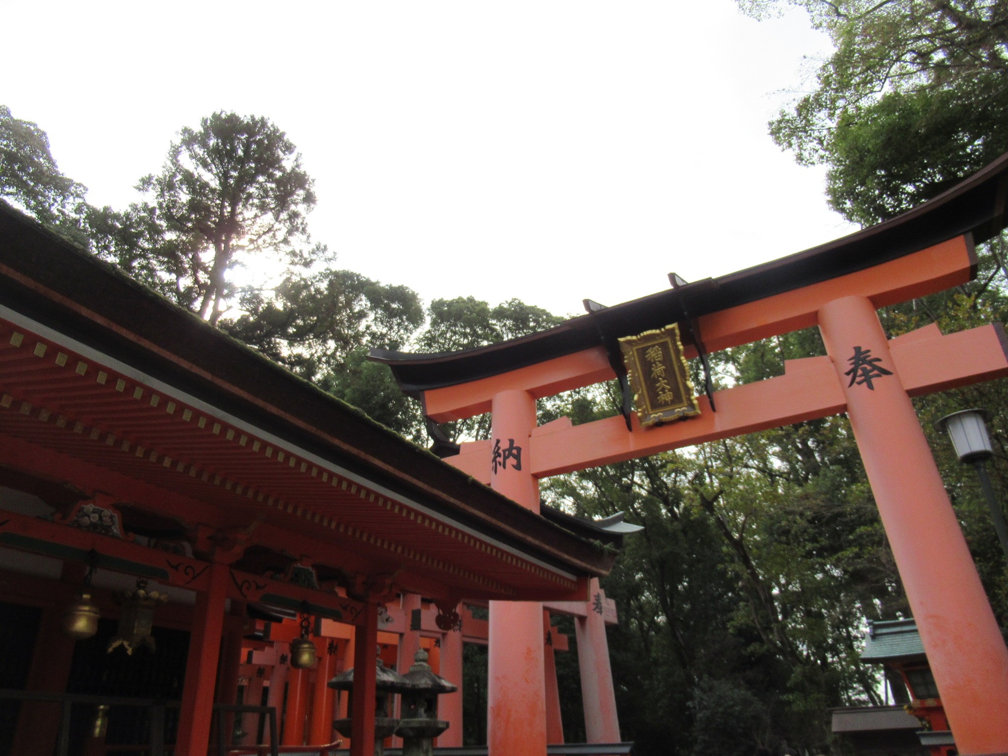 f:id:ichi-hama:20240309084319j:image f:id:ichi-hama:20240309084319j:image