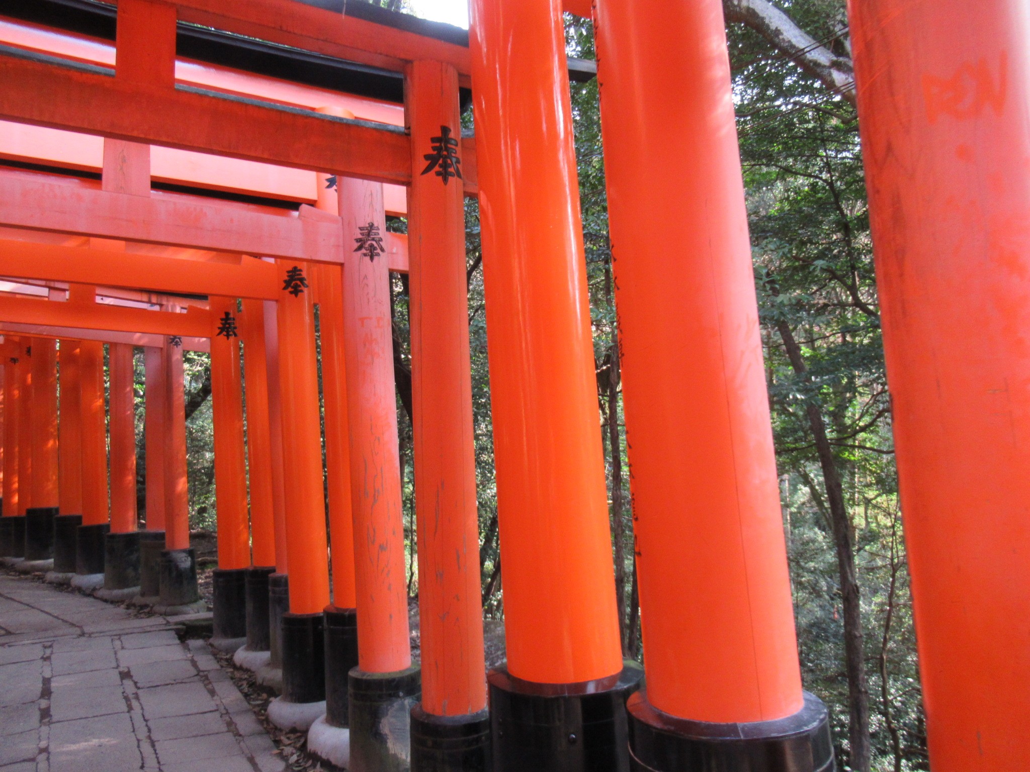f:id:ichi-hama:20240309084429j:image f:id:ichi-hama:20240309084429j:image