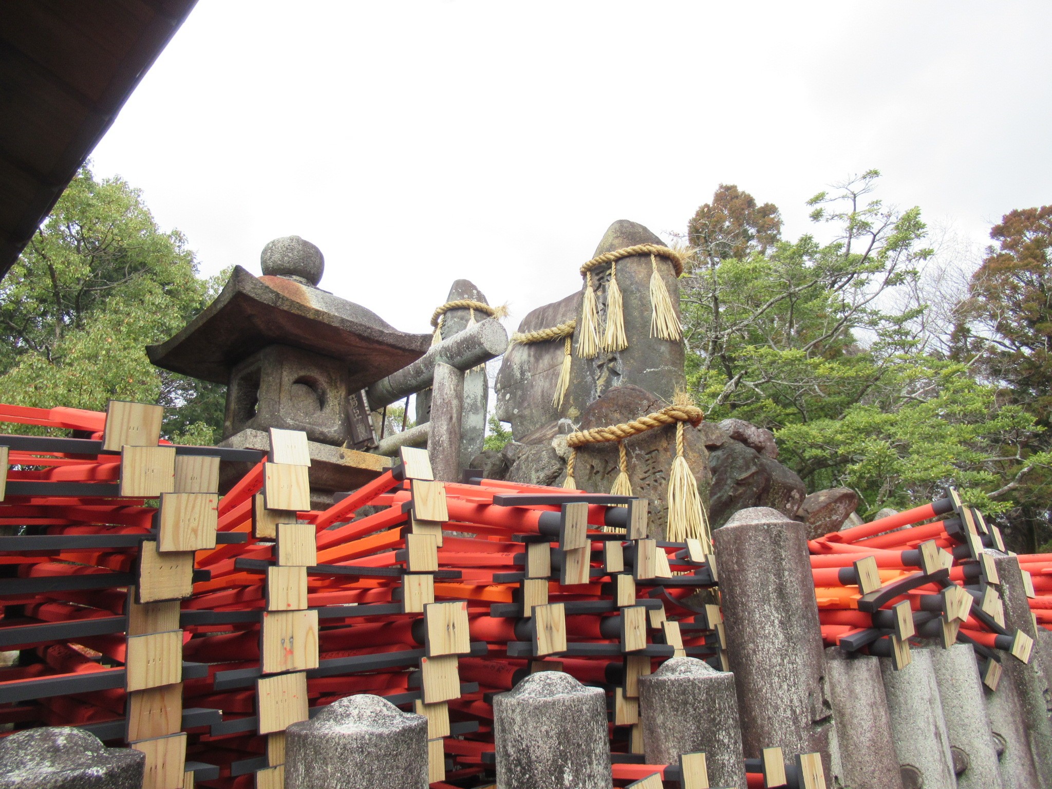 f:id:ichi-hama:20240309085337j:image f:id:ichi-hama:20240309085337j:image