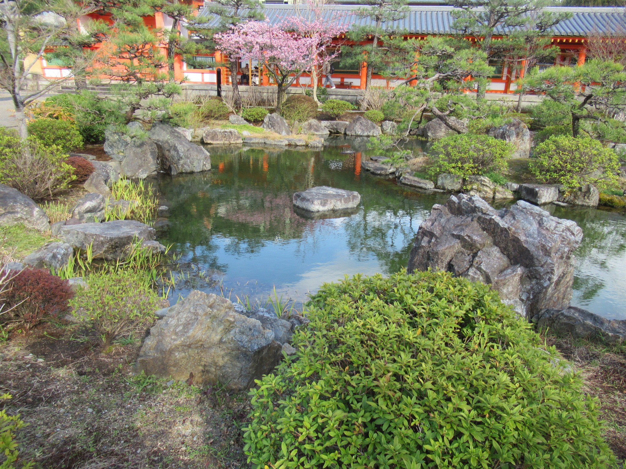 f:id:ichi-hama:20240309085748j:image f:id:ichi-hama:20240309085748j:image