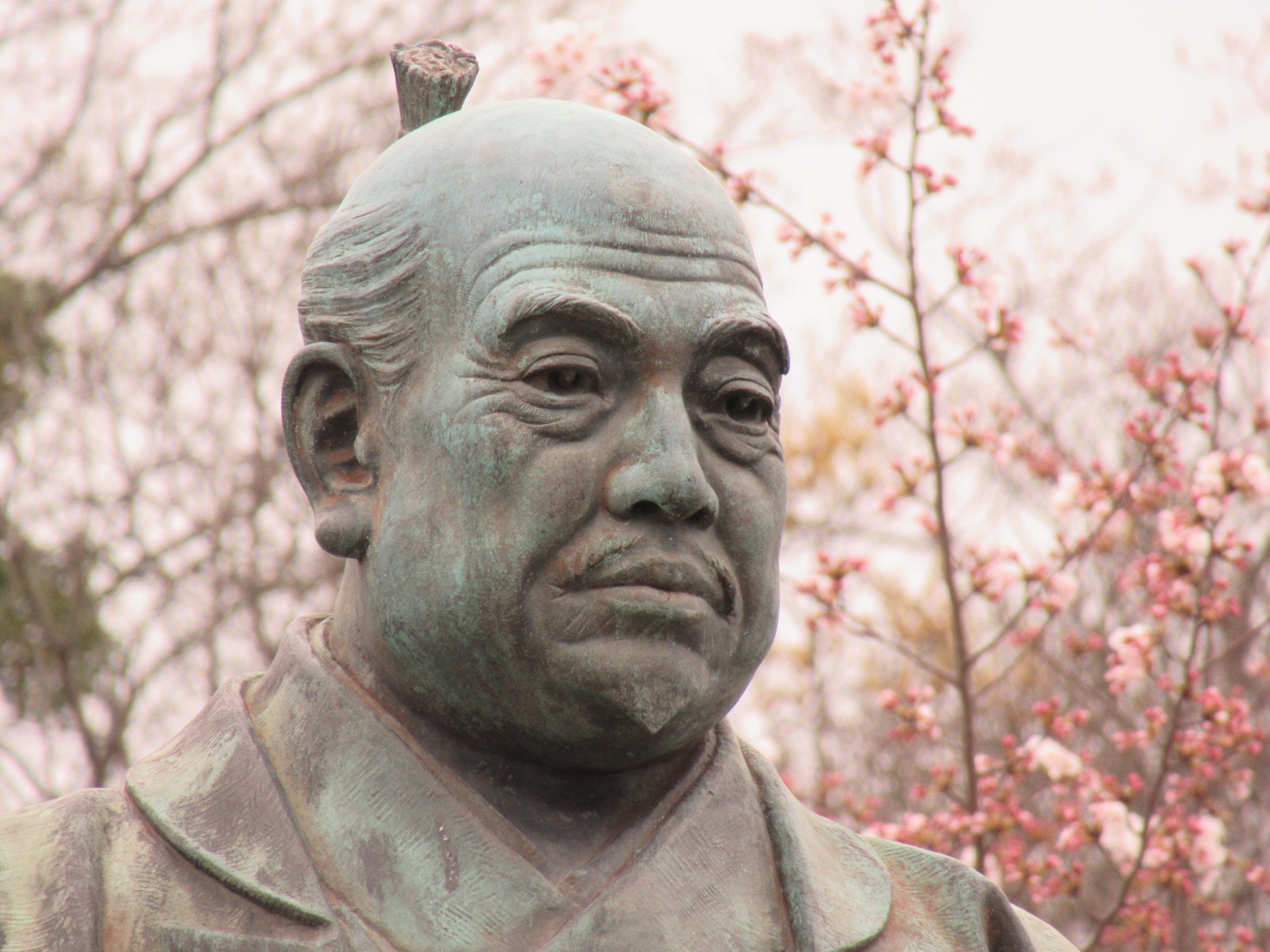f:id:ichi-hama:20240428183245j:image f:id:ichi-hama:20240428183245j:image