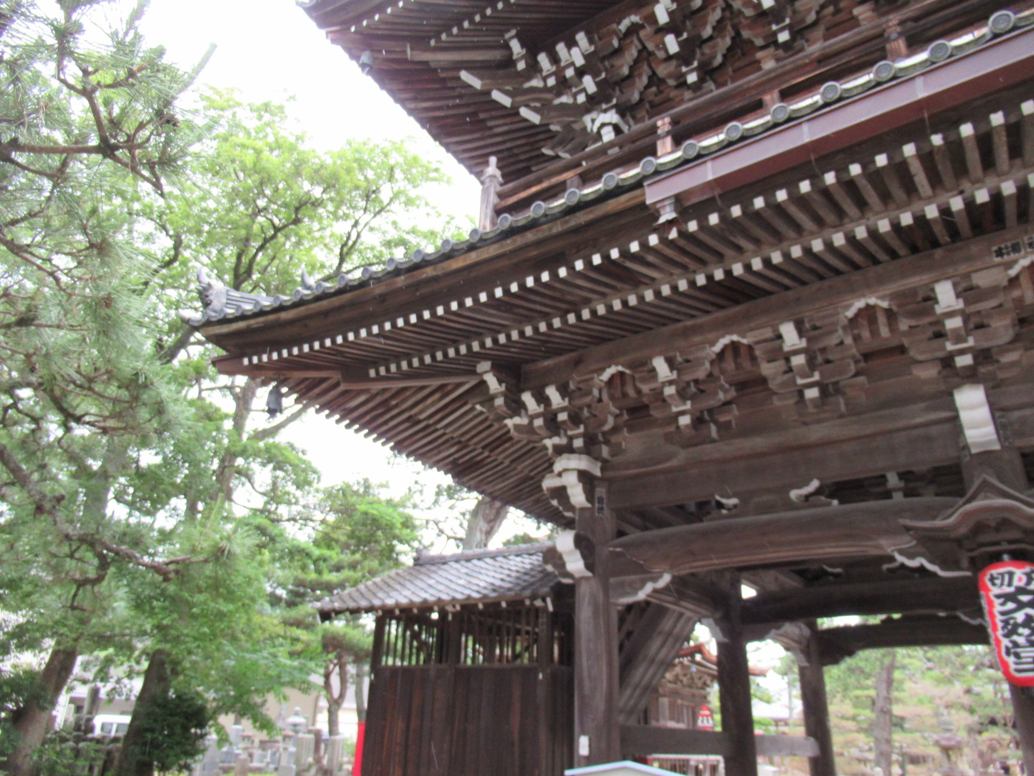 f:id:ichi-hama:20240601081721j:image f:id:ichi-hama:20240601081721j:image