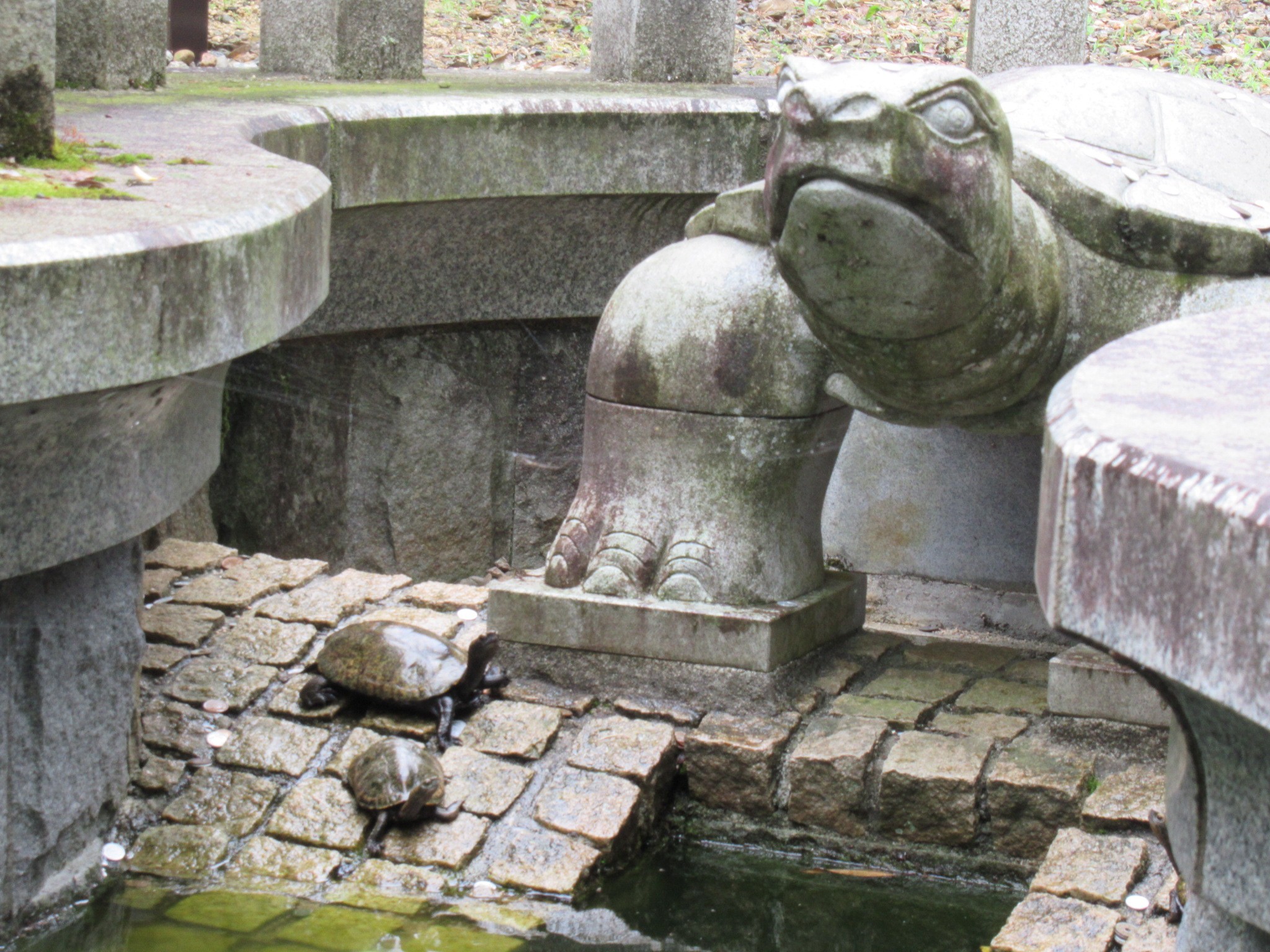 f:id:ichi-hama:20240601082220j:image f:id:ichi-hama:20240601082220j:image
