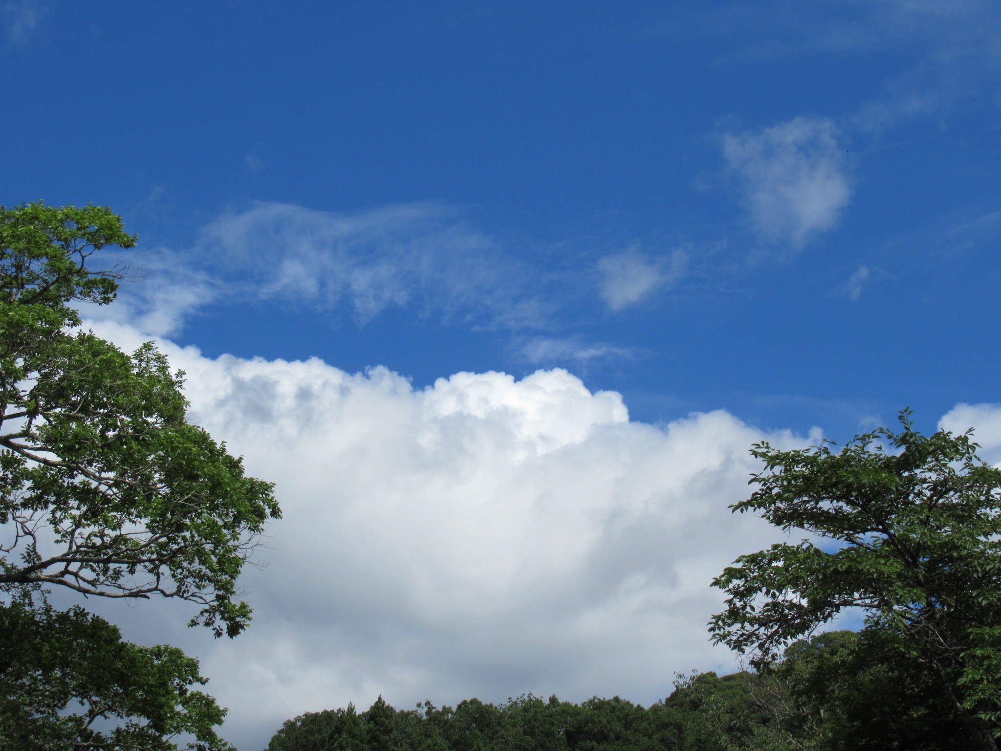 f:id:ichi-hama:20240727192429j:image f:id:ichi-hama:20240727192429j:image