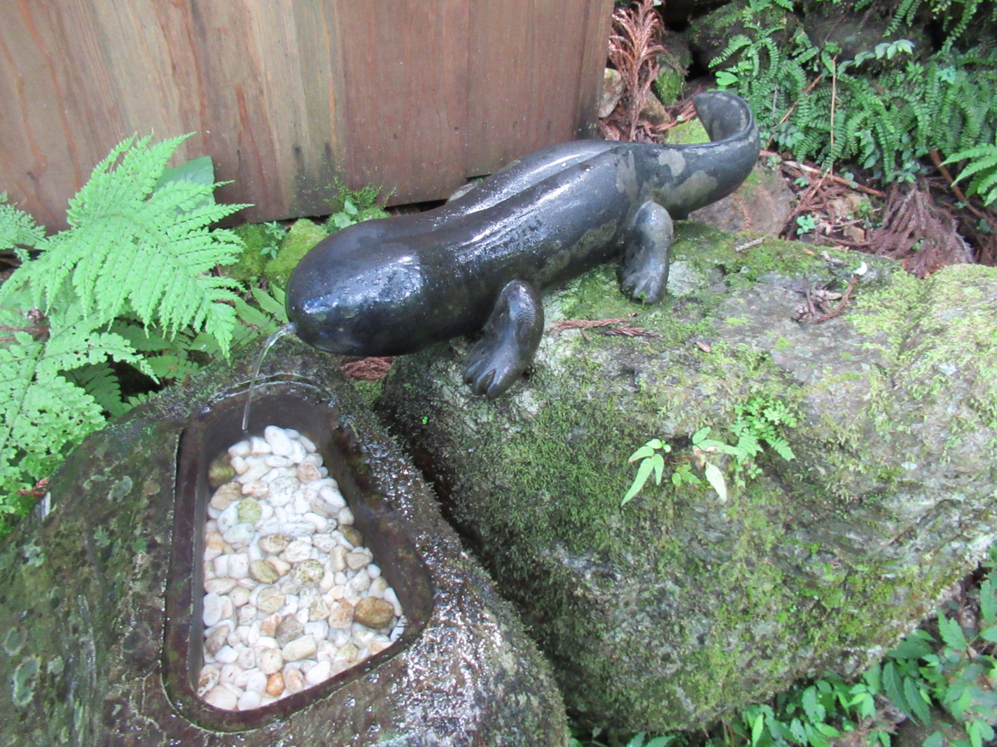 f:id:ichi-hama:20240727192611j:image f:id:ichi-hama:20240727192611j:image