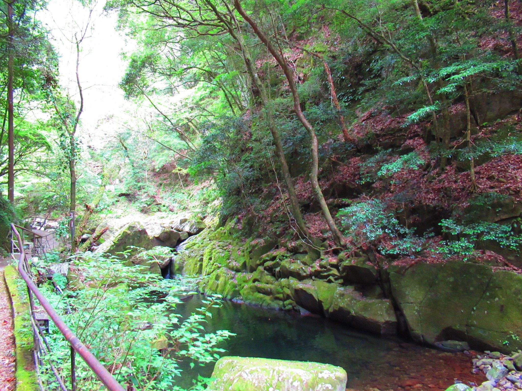 f:id:ichi-hama:20240727192935j:image f:id:ichi-hama:20240727192935j:image