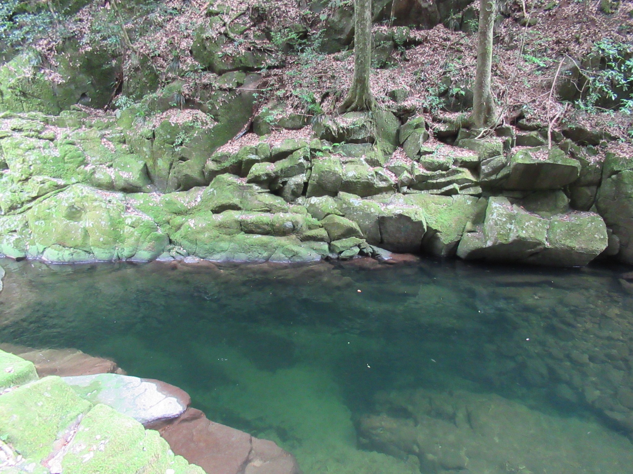 f:id:ichi-hama:20240727193005j:image f:id:ichi-hama:20240727193005j:image