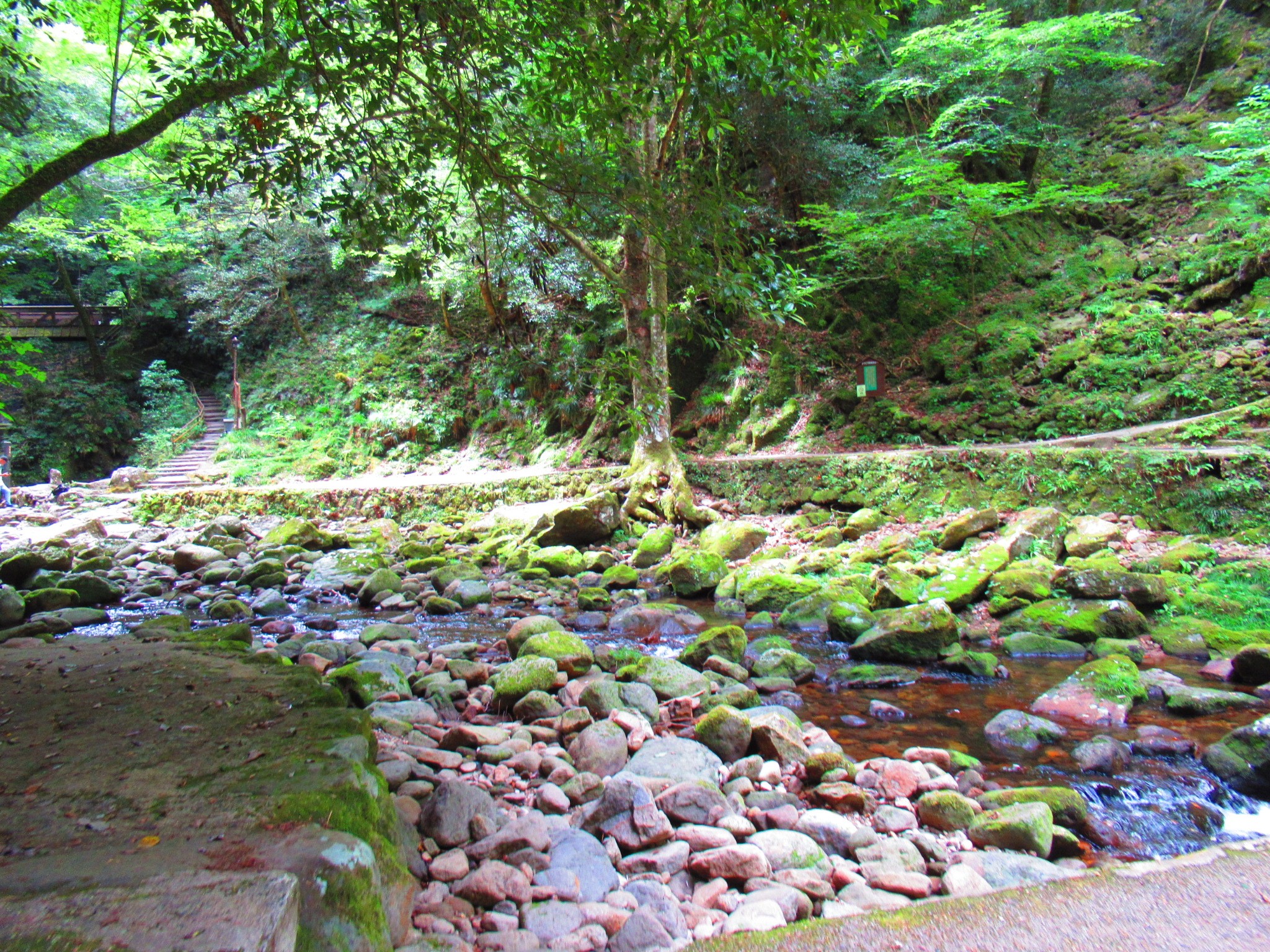 f:id:ichi-hama:20240727193056j:image f:id:ichi-hama:20240727193056j:image