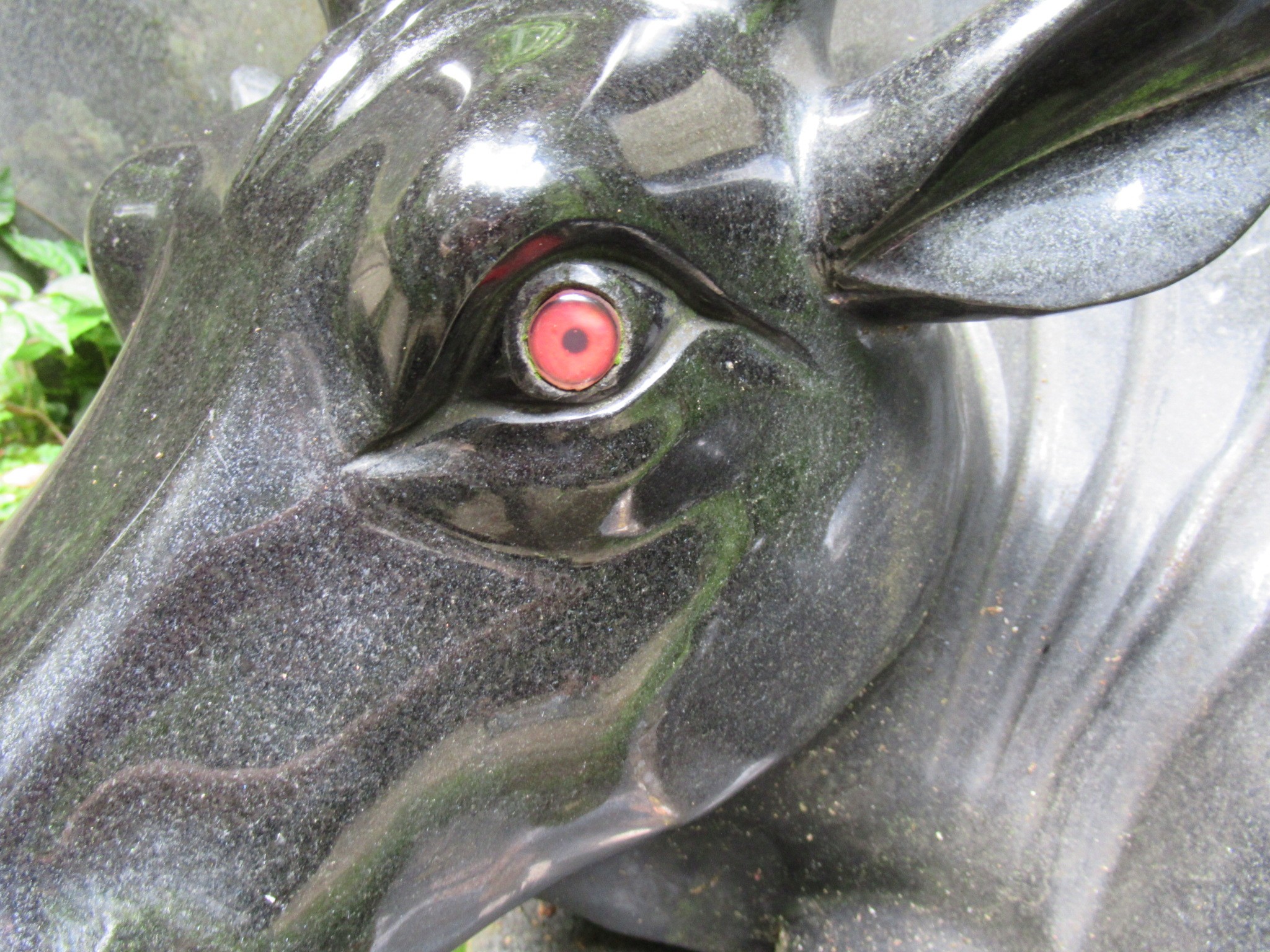 f:id:ichi-hama:20240727193208j:image f:id:ichi-hama:20240727193208j:image