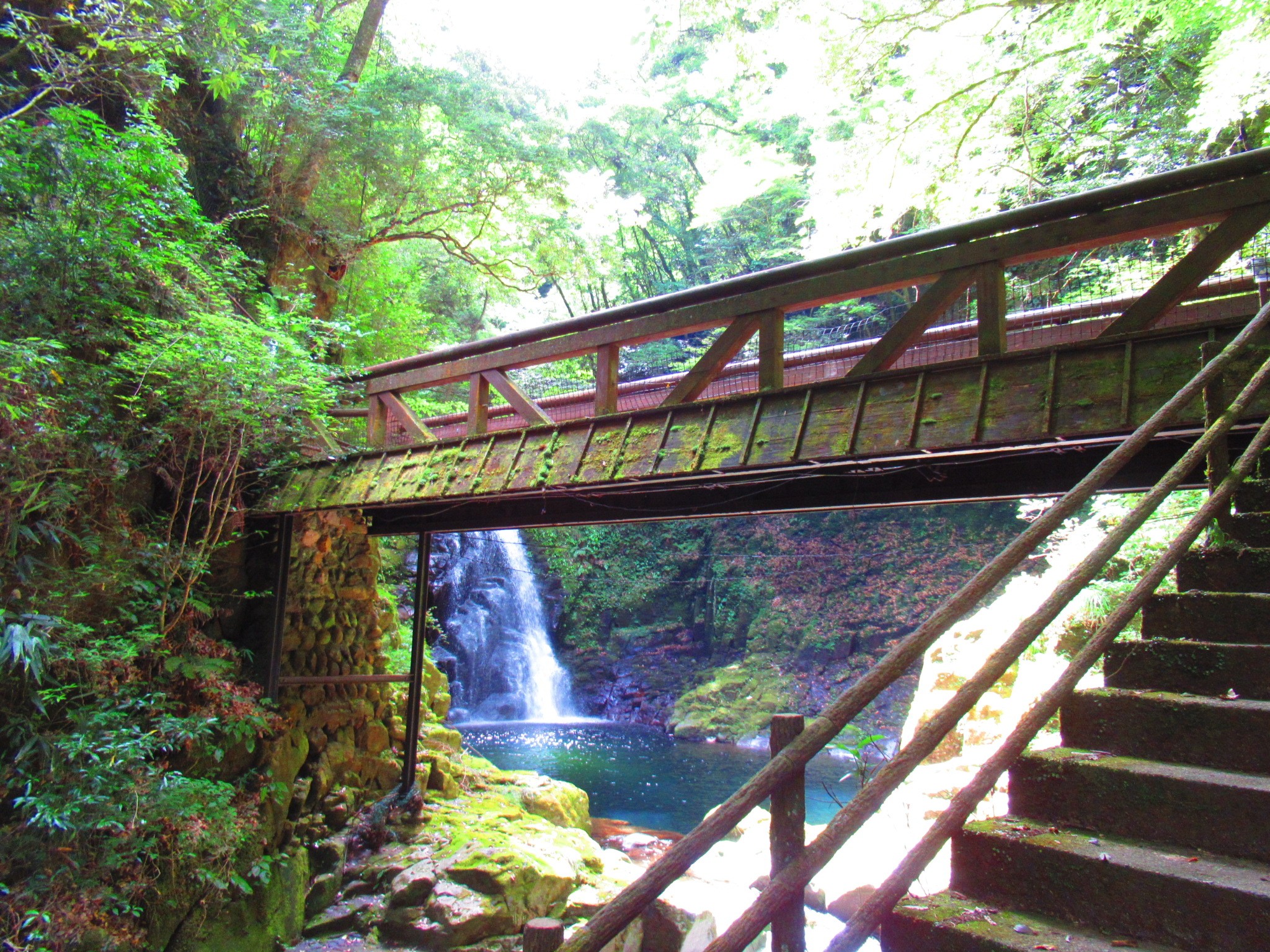 f:id:ichi-hama:20240727193256j:image f:id:ichi-hama:20240727193256j:image