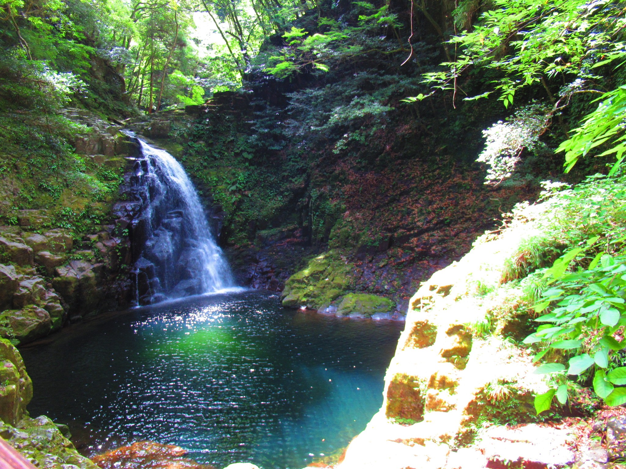 f:id:ichi-hama:20240727193347j:image