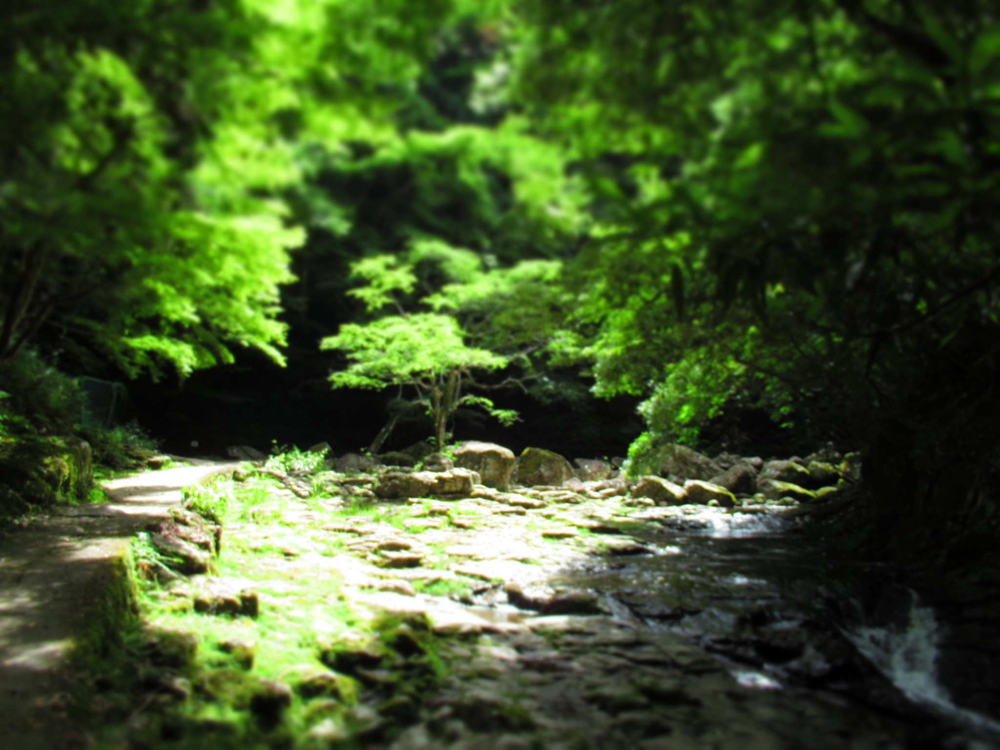 f:id:ichi-hama:20240727193456j:image f:id:ichi-hama:20240727193456j:image