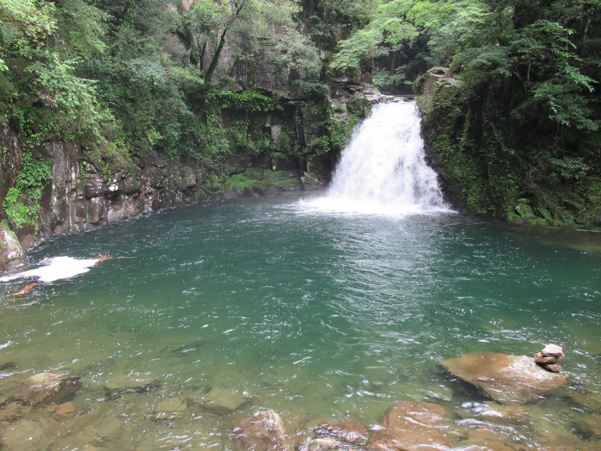 f:id:ichi-hama:20240727193805j:image f:id:ichi-hama:20240727193805j:image